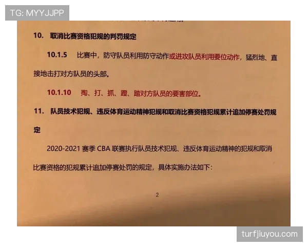 深入分析篮球技术犯规处罚规则的具体条款与现场执行情况