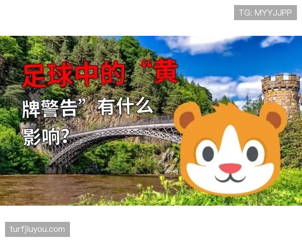 足球规则中黄牌警告的判罚条件与累计影响解析